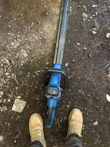 hedge strimmer