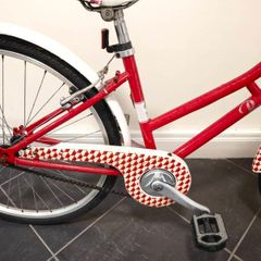 ladies bike or teenagers