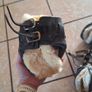 horse boots Image 4