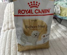 dog food