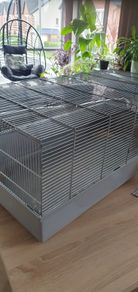 Rabbit Cage