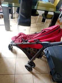 buggy for free