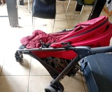 buggy for free