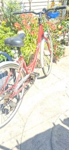 Ladies bike