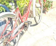 Ladies bike