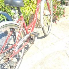 Ladies bike