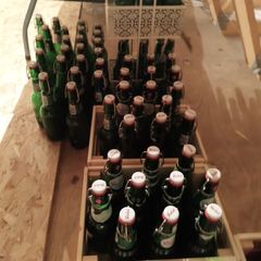 Beer Bottles. Home Brew