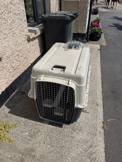 dog crate