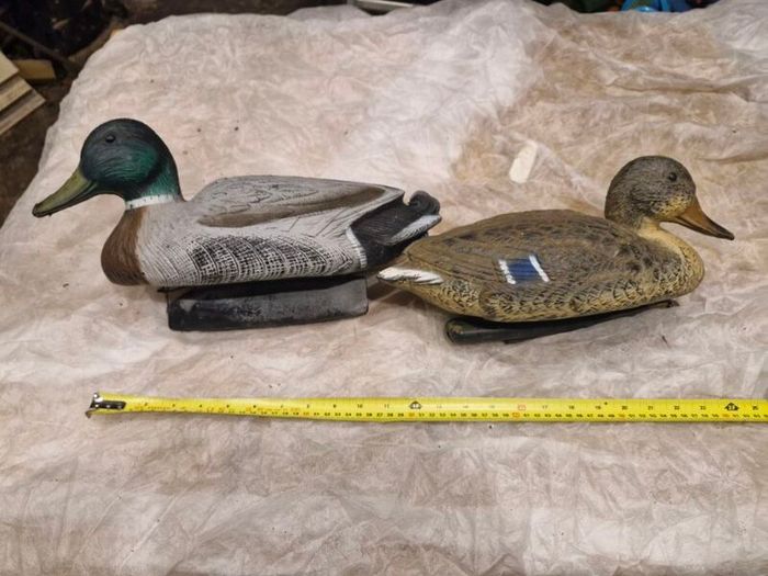 decoy ducks