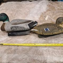 decoy ducks