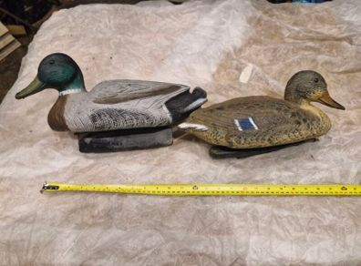 decoy ducks