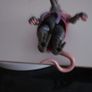 Splinter Teenage Mutant Ninja Turtles Image 5