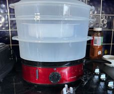 brand new steamer