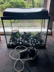 Aquarium Fish Tank