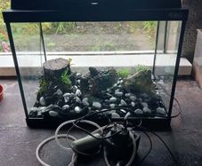 Aquarium Fish Tank