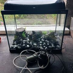 Aquarium Fish Tank