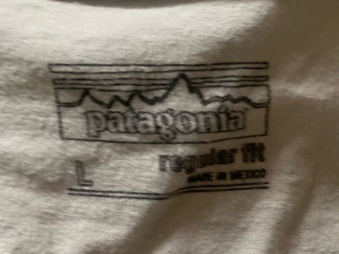 patagonia t shirt
