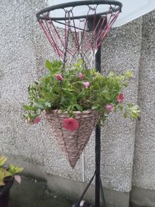 flowers all for sell