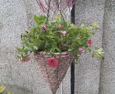 flowers all for sell