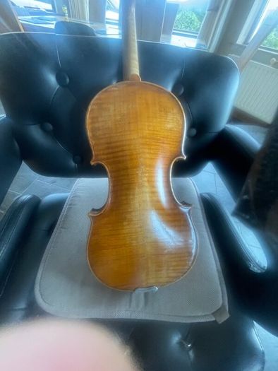 Violin