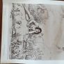 Richard Doyle prints Image 9