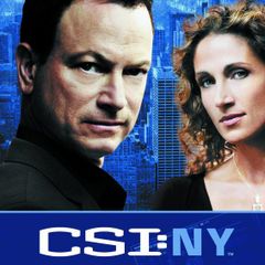 CSI: New York - Complete Season 4 [DVD]