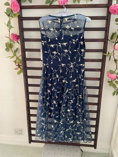dress Bnwt Paisie occasion wear dress size 10