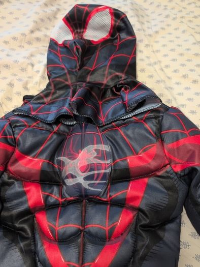 Spiderman Costume