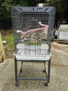 Parrot Cage