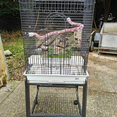 Parrot Cage