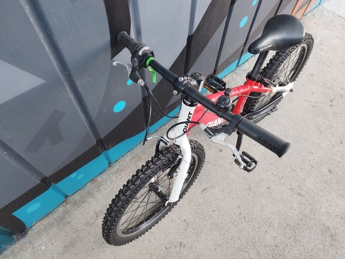 Mountain Bike Giant