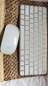 Magic Keyboard and mouse both type c