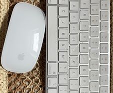 Magic Keyboard and mouse both type c