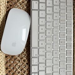 Magic Keyboard and mouse both type c