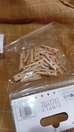 Craft Miniature Wooden Clothes Pegs