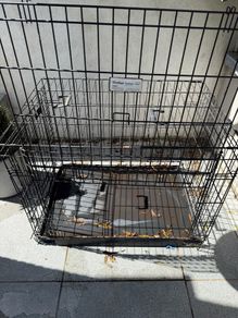 FREE large Dog Cage