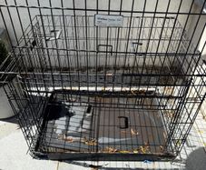 large Dog Cage