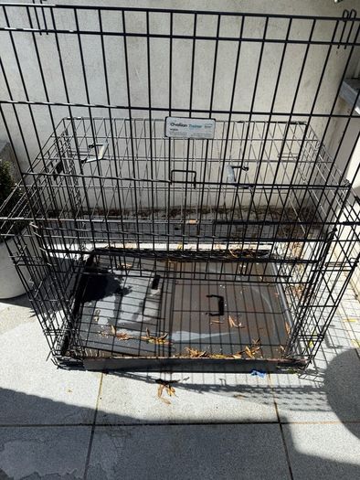 FREE large Dog Cage
