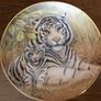 A pair of wild cat  8 inch decorative plates Image 3