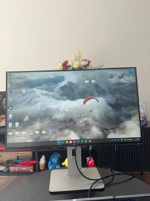 Dell monitor