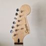 squier paranormal toronado Image 7