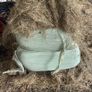 2025 And 2026 Haylage Image 6