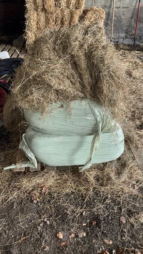 2025 And 2026 Haylage