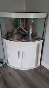 Lizard /snake enclosure