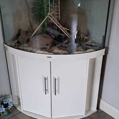 Lizard /snake enclosure