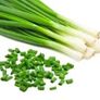 (C) Garlic Chives seeds 1g (882921) Image 2