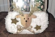 Reindeer Hand Soap Set