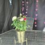roses in 3 colors Image 2