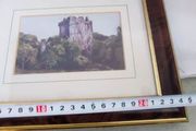 Blarney Castle Ireland Framed Art Print