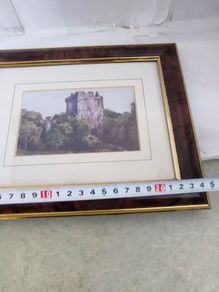 Blarney Castle Ireland Framed Art Print